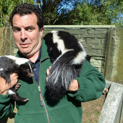 Broadcasting Canada -  Rick Mercer