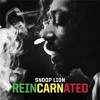 Smoke The Weed - Snoop lion ft. Collie Budz - Scratchbri