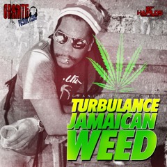 Turbulence - Jamaican Weed