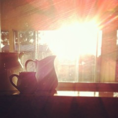 Morning