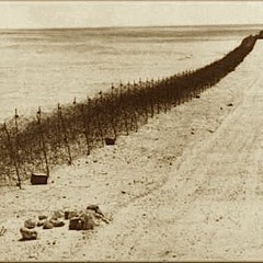 حبك بردْ - السيد بومدين