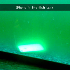 IPHONE IN THE FISHTANK