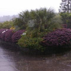 Colors In My Mind (Inst)