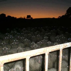 Nah Mean To Jamrock - Nas & Damian Jr Gong Marley ( Tr!mix )