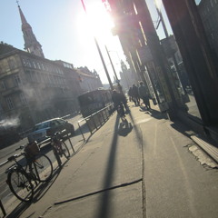 Lange Schatten Werden Geworfen (Von Der Hecke)