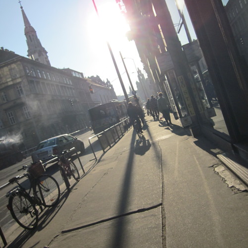 Lange Schatten Werden Geworfen (Von Der Hecke)
