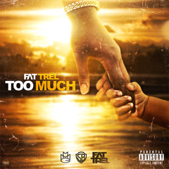 Too Much (GLEESH-MIX)