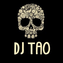 POMEPEANDO PA TRAS - DJ TAO 2014 !