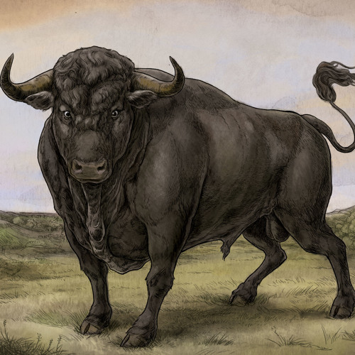 San Fermin - Sonsick (WEBSITE SET)