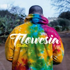 Shotta - Sincero