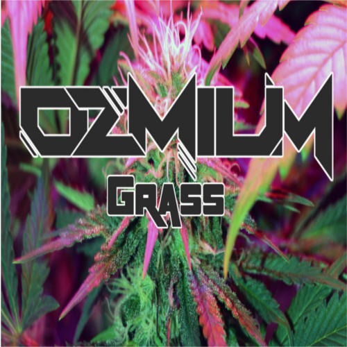 Grass