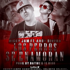 Los Perros Se Enamoran  Andy Rivera Feat Nicky Jam  extended party break  (DJ GLAZZ) #Elchino