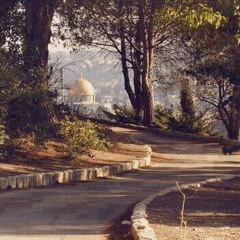 على طريق القدس غناء محمد كبها Moe Kabha.mp3