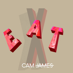 Cam James - The Local Hater (Prod. Epik The Dawn)