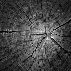 Herr Holz - Wichteln Mal Anders