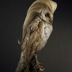 Metal - "Glorifying Flaws"