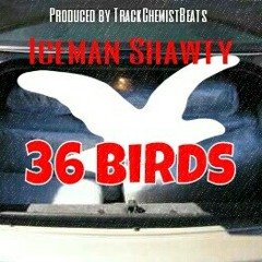 Prod by @trackchemistbeats - 36 Birds - Iceman Shawty