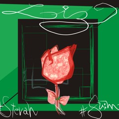 STEVAN & ALLLIKEAPAINT - LIZ (Prod. Dj Samu & Stevan)