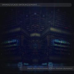 Immaculate Entanglement (clip)