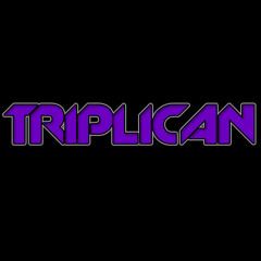 Selena Gomez - Slow Down (Triplican Remix)