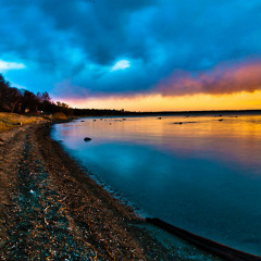 Shoreline (Original Mix)