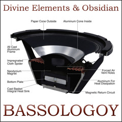 Divine Elements & Obsidian - Bassology [Clip]
