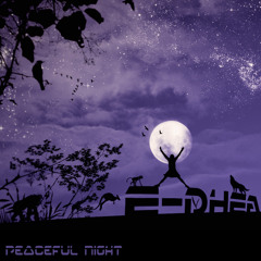 Peaceful Night (Clip)