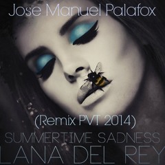 SumerTime Sadness - Jose Manuel Palafox Ft. Lana del rey (Remix Pvt 2014 Preview)