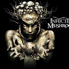 Infected Mushroom - Special Place