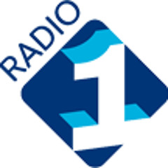 Het Belgisch huwelijk in VPRO's 'Nooit meer slapen' 28 maart 2014