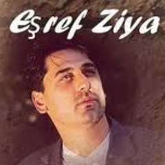 Eşref Ziya Terzi - Karanlık