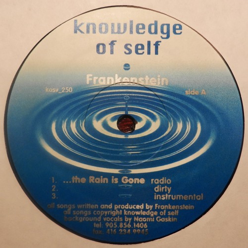 Frankenstein -The Rain Is Gone (instrumental)