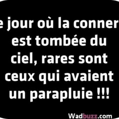 -03-23 6 03  les cons ....