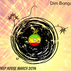 House mix March 2014 (Dim Bonga)