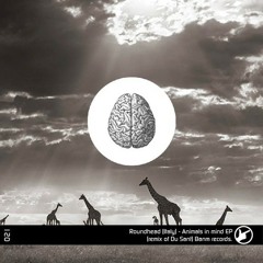 Roundhead (italy)-Animals In Mind (Original mix)