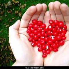 احبك دون اكتفاء