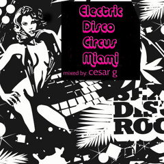 Electric Disco Circus Miami