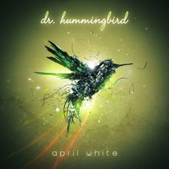 dr. hummingbird