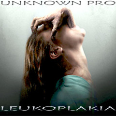 02-Unknown Pro Hear em Talkin Feat BRS