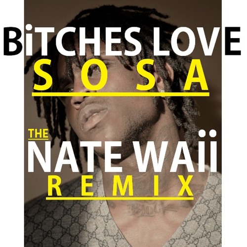 Cheef Keef - Bitches Love Sosa - (Nate Waii Remix) Please Share - Free Download!