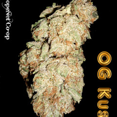 OG GOT ME COUGHIN FEAT MONEY GREEN