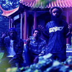 The Flatbush Zombies - DONT DO DRUGS KIDS