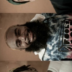 The Zombies Of Flatbush