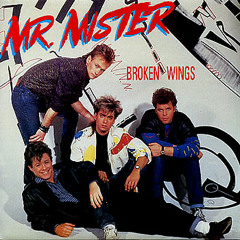 Mr. Mister - Broken Wings (Instrumental Cover)