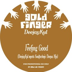 Feeling Good (DeejayKul meets Soultechnic deepa mix) Demo 1