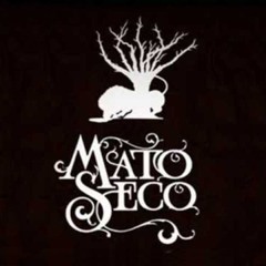Mato Seco - Raiz Forte
