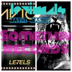 Martin Garrix Vs Avicii - (Levimals MAY - T Mashup)