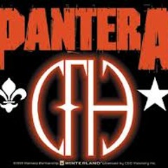Pantera-Domination (Guitar cover)