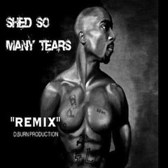 Shed So Many Tears - Tupac Shakur [Remix] Prod. by D.Burn
