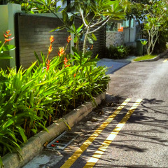 Sounds Like A Melody (1992)